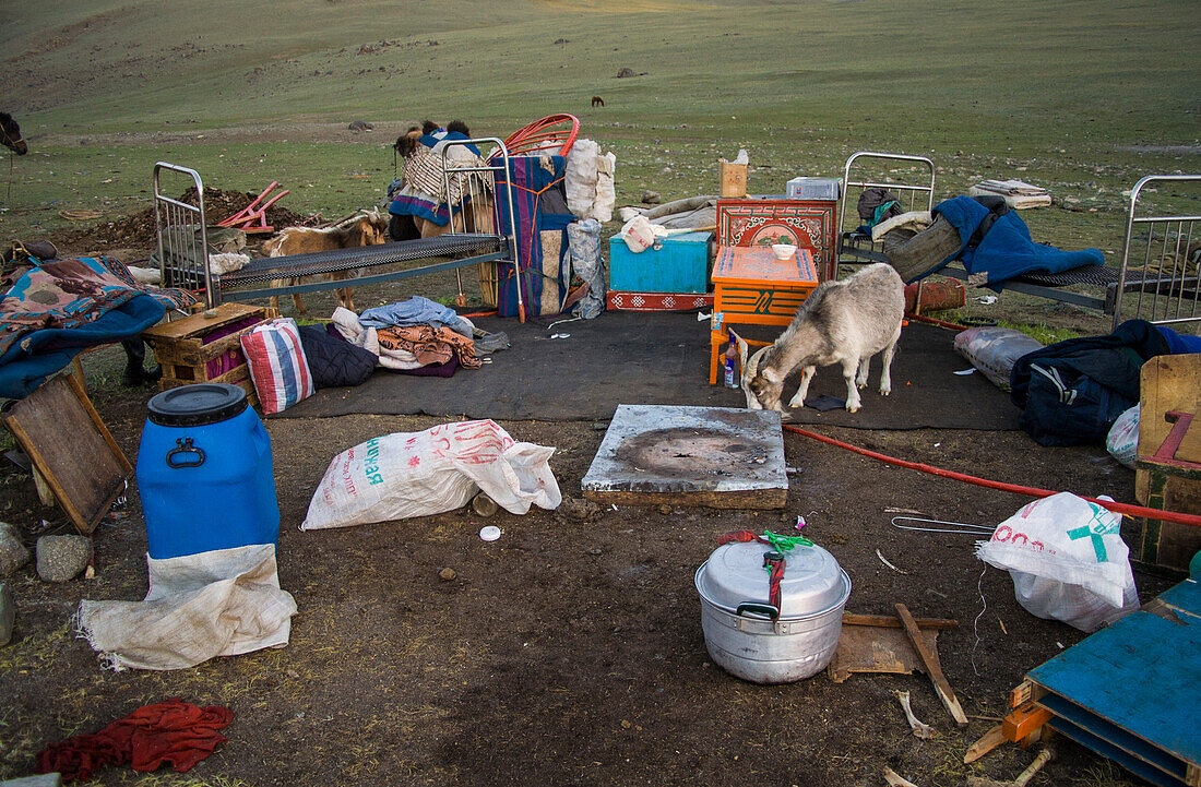 Nomad people dismantleing a ger