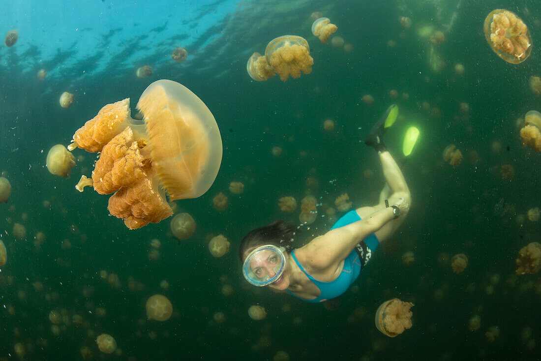 Eine lächelnde Taucherin zwischen den goldenen Quallen (Mastigias papua) im Quallensee auf der Insel Eil Malk (Republik Palau, Mikronesien).