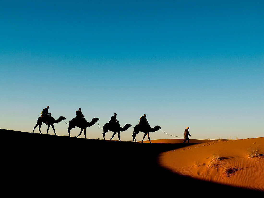 Camel caravan tourists in the Erg Chebbi sand dunes