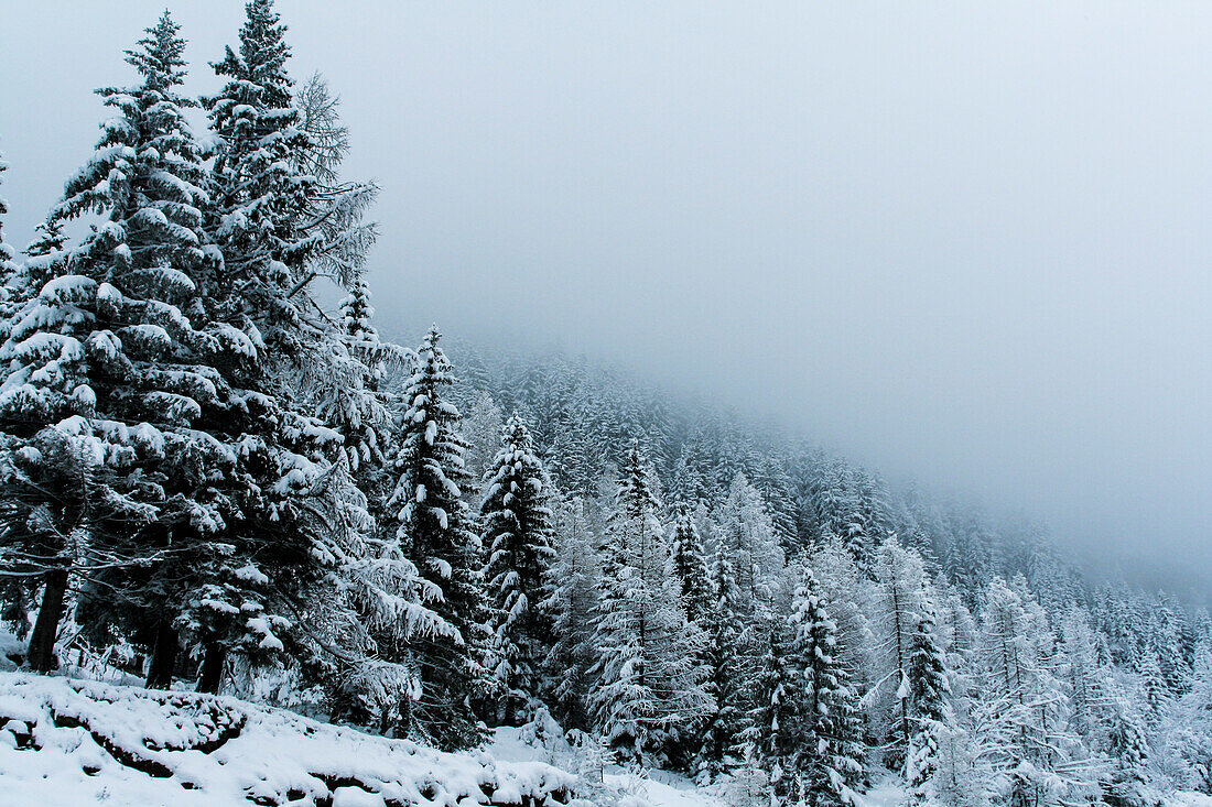 Verschneite Alpenlandschaft