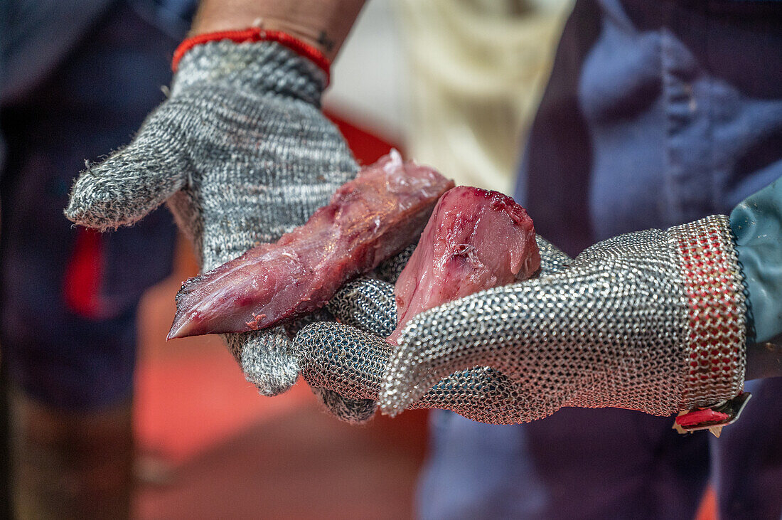 Schneiden und Vorbereiten von Fisch für den Konservierungsprozess, Fischkonservenfabrik (USISA), Isla Cristina, Spanien