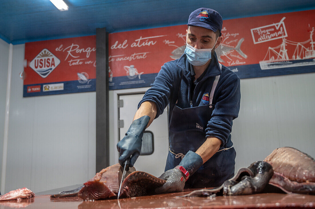 Cutting and prepping fish for canning process, Fish canning factory (USISA), Isla Cristina, Spain