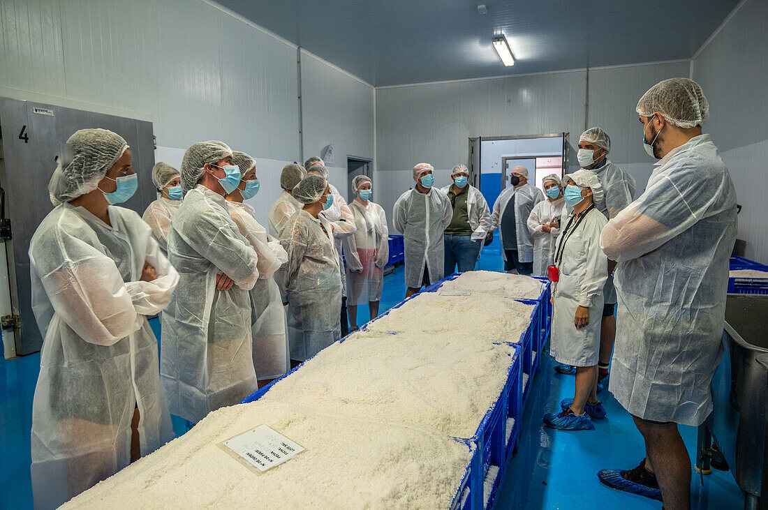 Fish canning factory (USISA), Isla Cristina, Spain