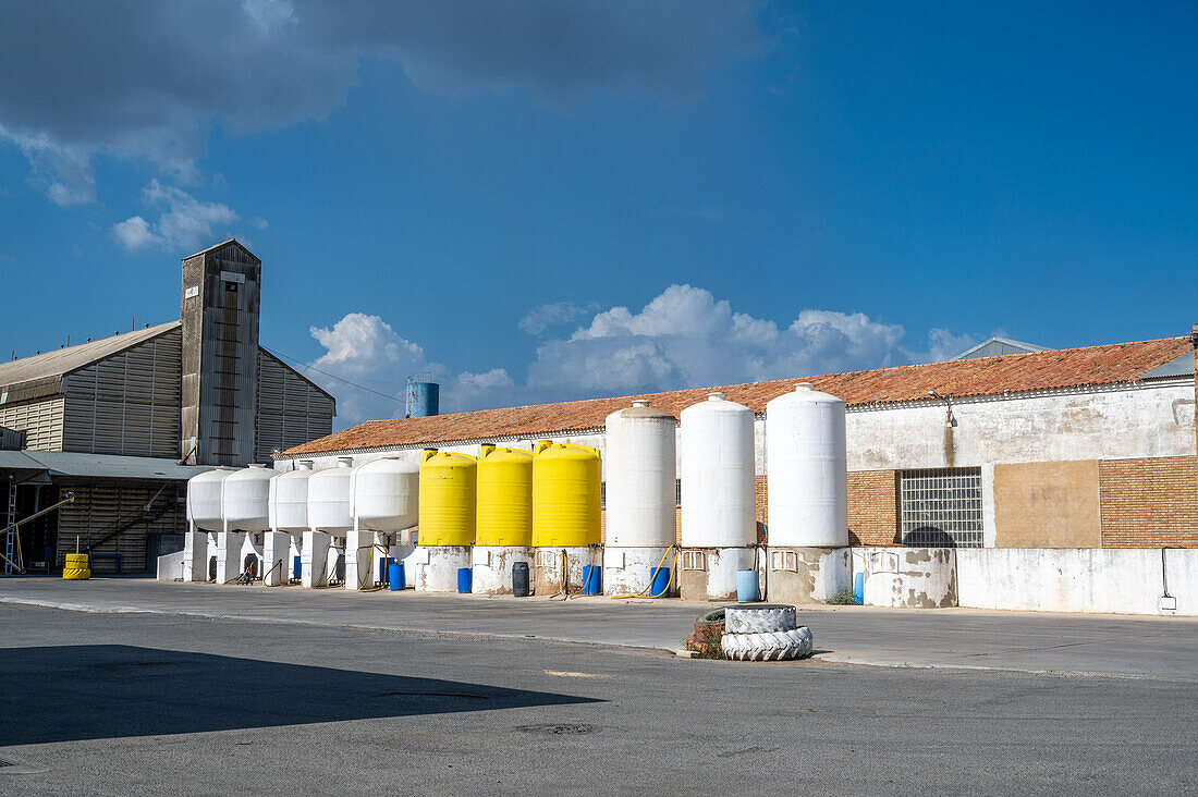 Cereal and citrus cooperative, Puerto Gil, Spain