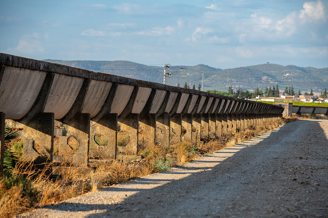 Cereal and citrus cooperative, Puerto Gil, Spain