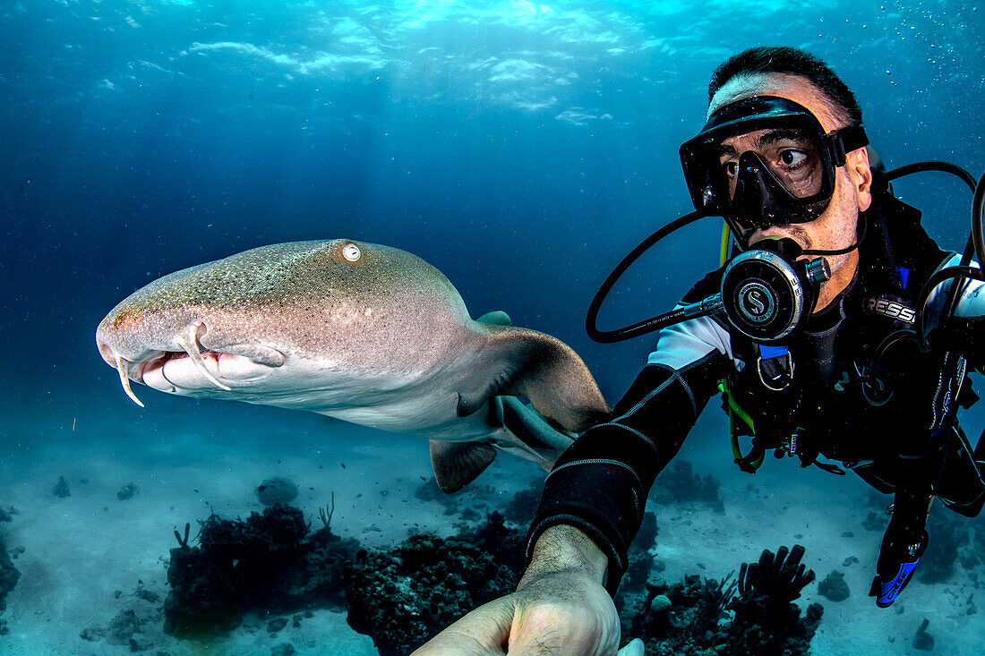 A selfie with a nurse shark in Chinchorro bank