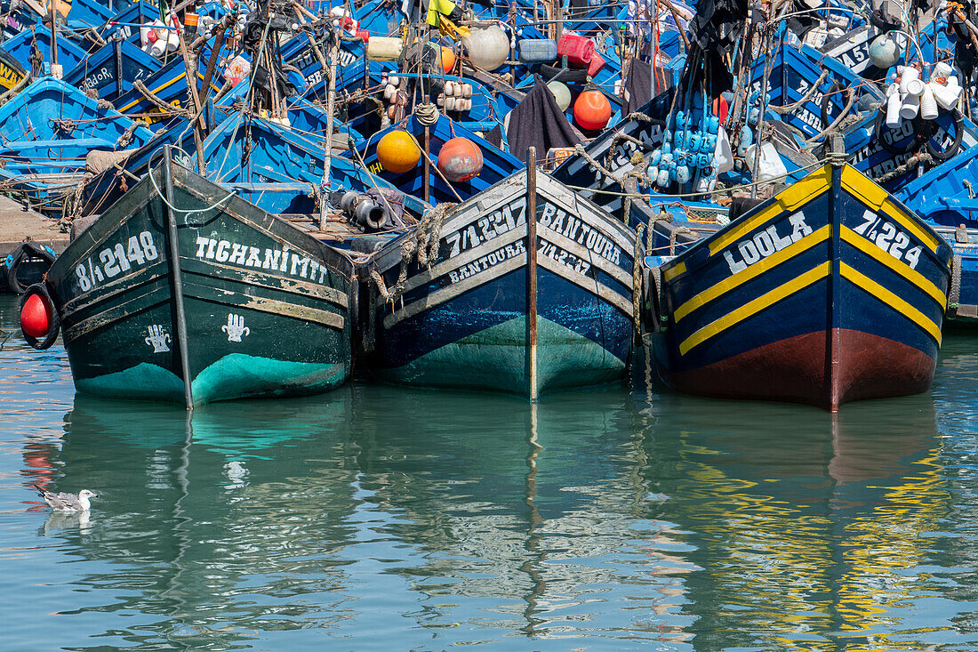 Marokko - Essaouira