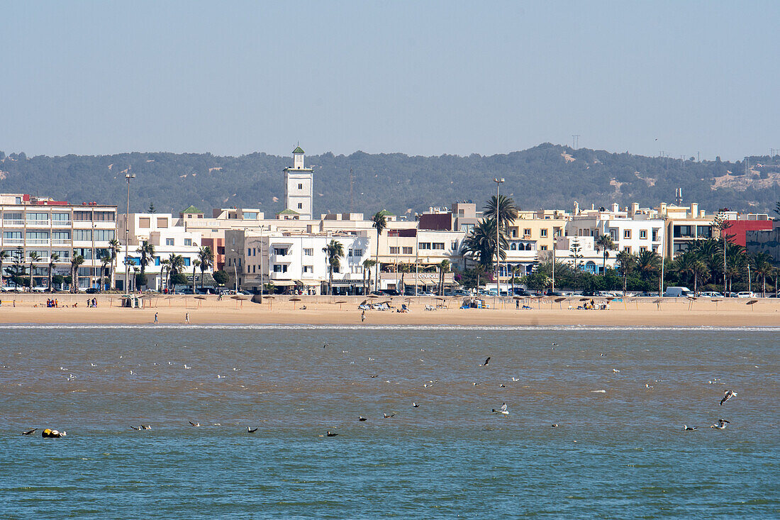 Morocco - Essaouira