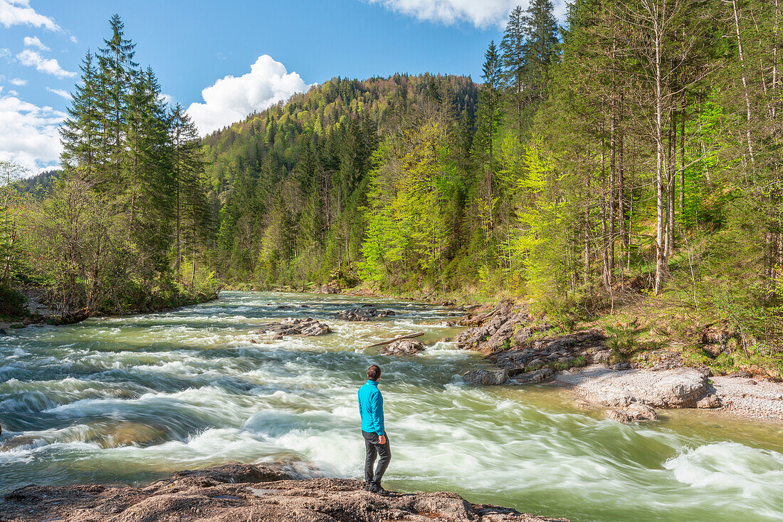 A hiker standing in front of the rapids of Brandenberger Ache, Brandenberg region, Kufstein district, Tyrol, Austria, Europe