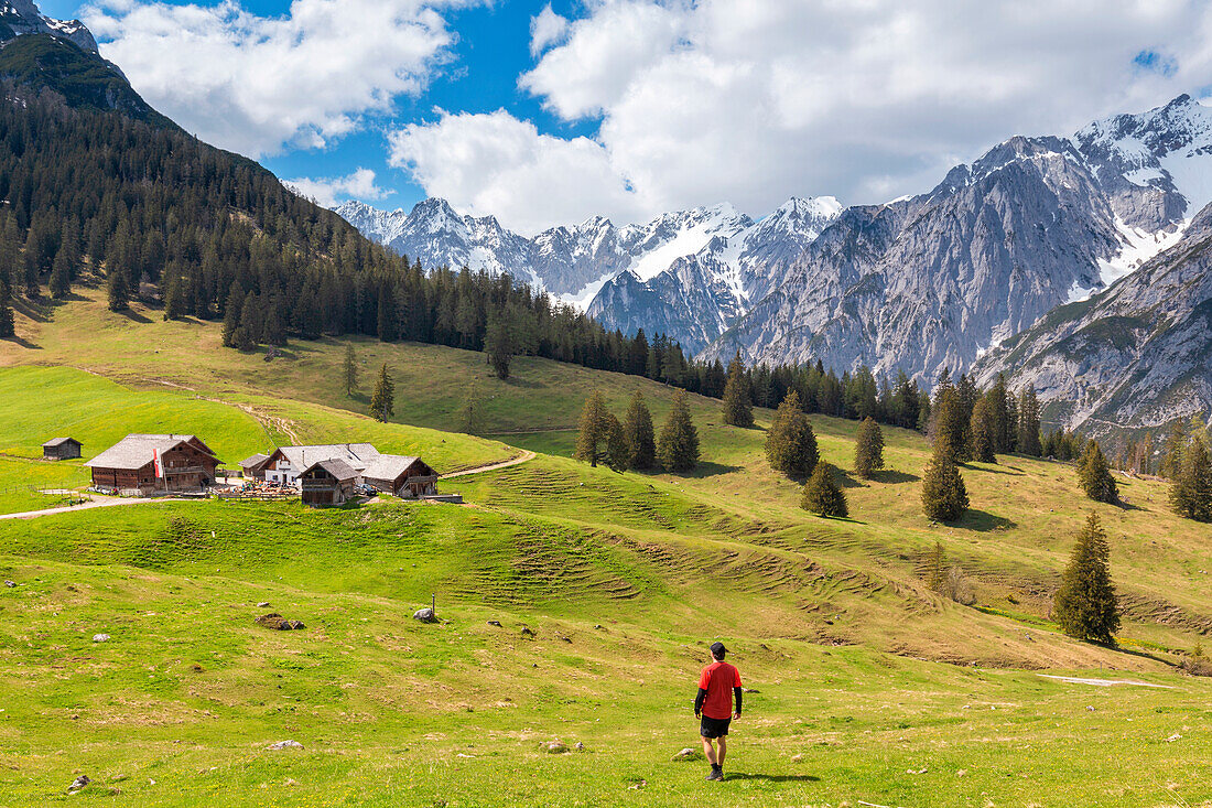 A man walking on the meadows of the Walder Alm with the Karwendel mountains in the background, Gnadenwald, Innsbruck Land, Tyrol, Austria
