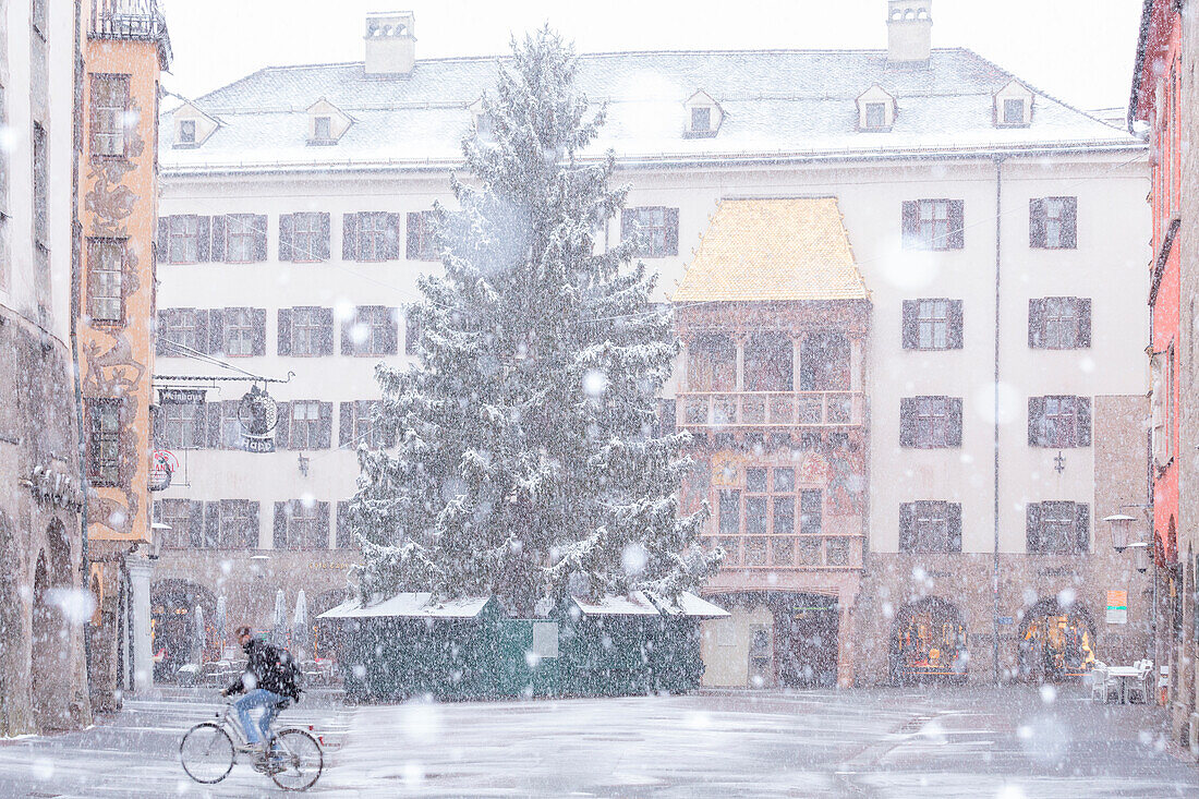 Fahrradfahren in der verschneiten Altstadt von Innsbruck, Tirol, Österreich, Europa