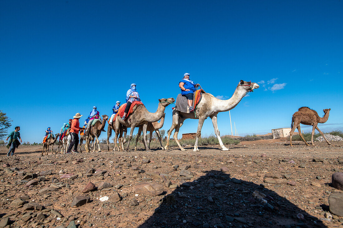 Agafay Desert camel ride Morocco