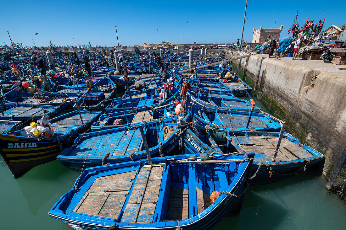 Morocco - Essaouira