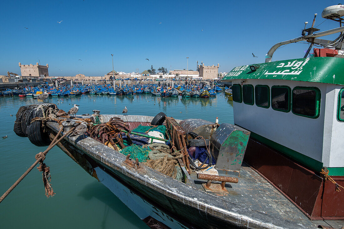 Morocco - Essaouira