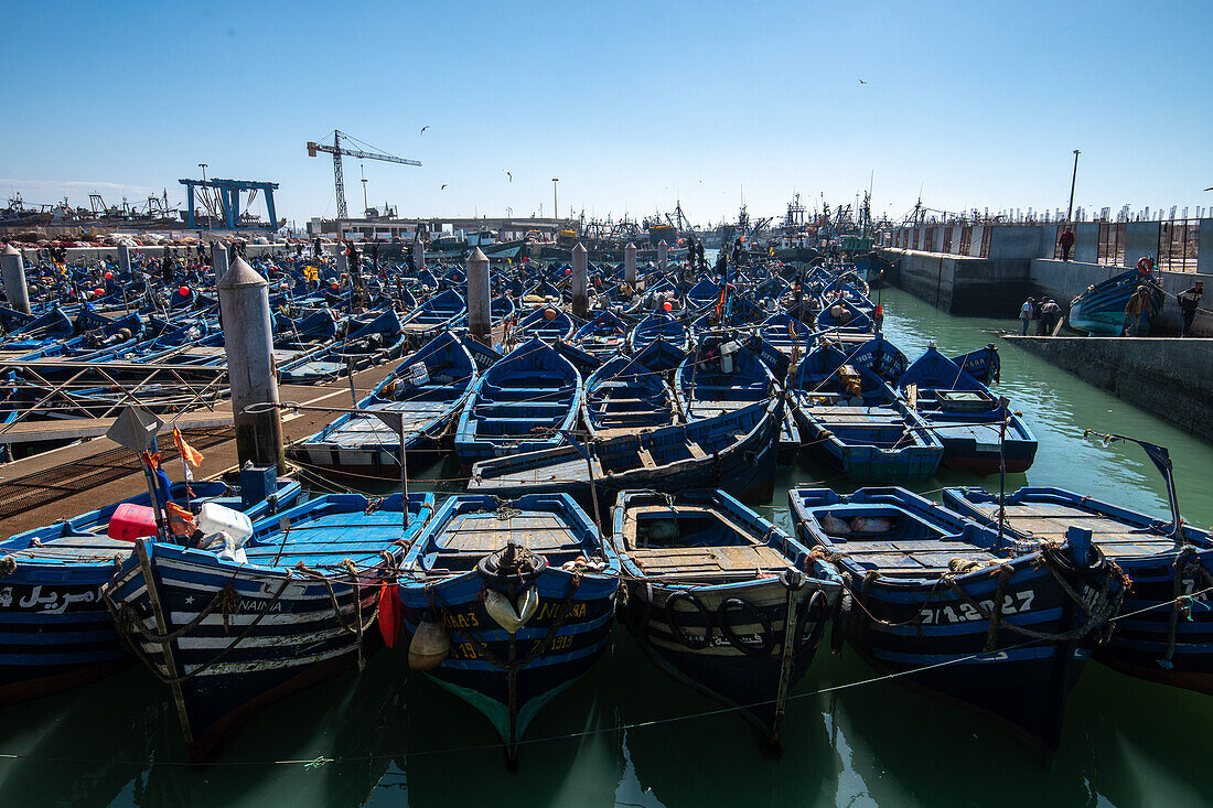 Marokko - Essaouira