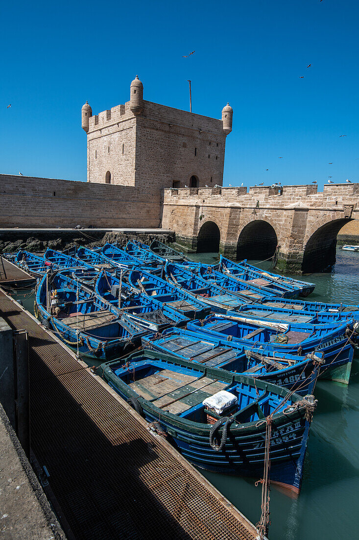 Morocco - Essaouira