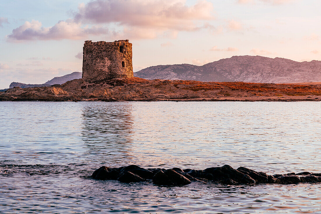 La Pelosa Beach and Tower of the Falcon in Stintino, Sassari, Sardinia, Italy