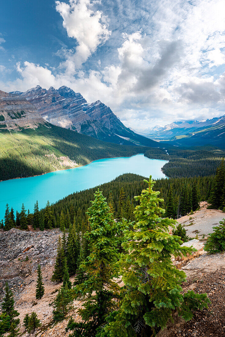 Peyto Lake with Mount Patterson - Canada, Alberta, Banff National Park. Canadian rockies