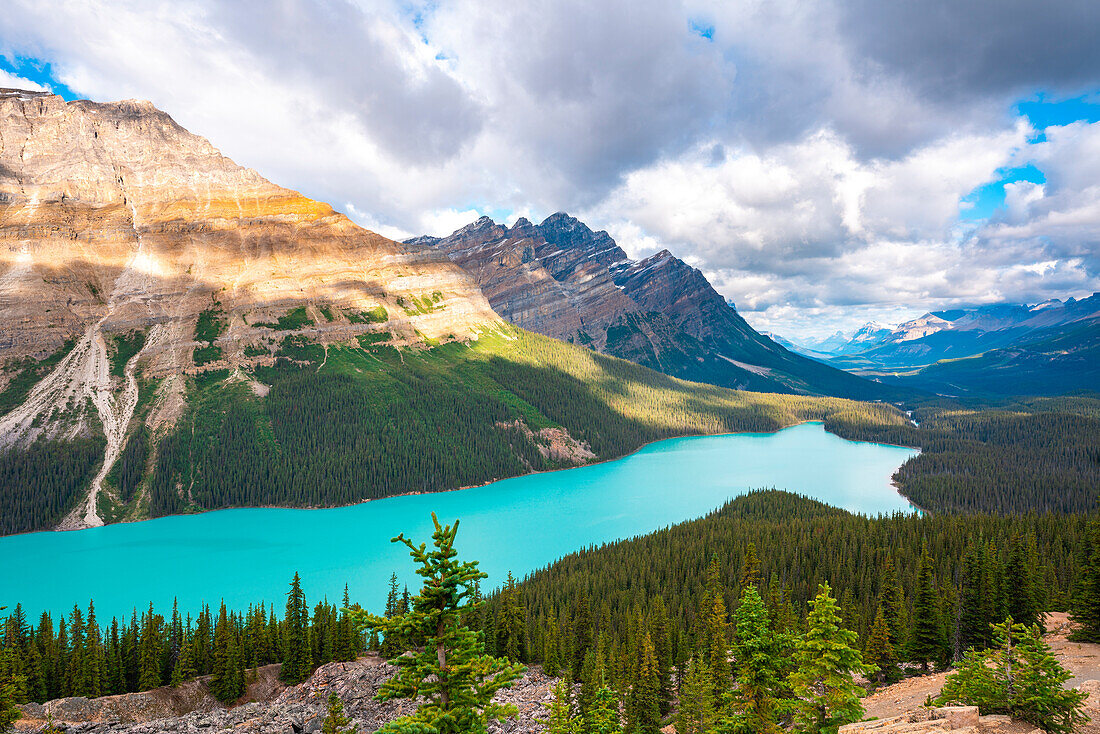 Peyto Lake, Banff National Park, Alberta, Canada. Rocky Mountains landscape with Mount Patterson