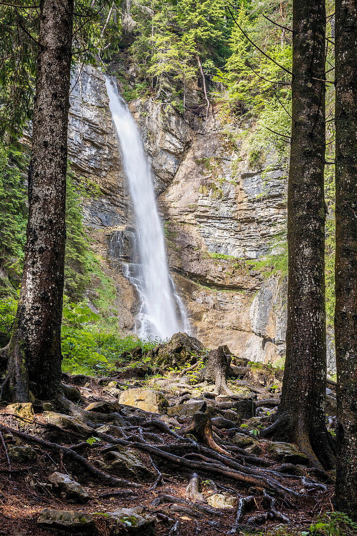 Italy, Veneto, province of Belluno, Borca di Cadore, the Ru de Assola waterfall