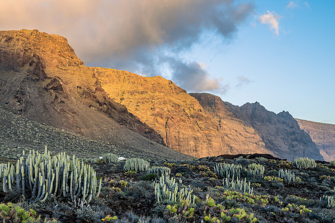 Spain,Canary Islands,Tenerife,Punta Teno at sunset