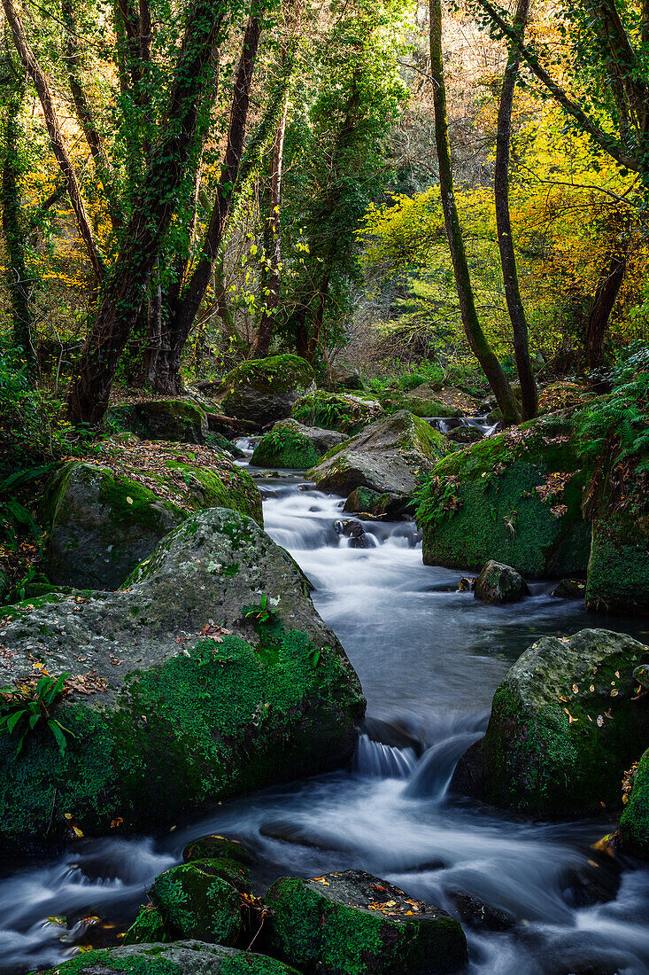 Treja river, Mazzano romano, Rome, italy