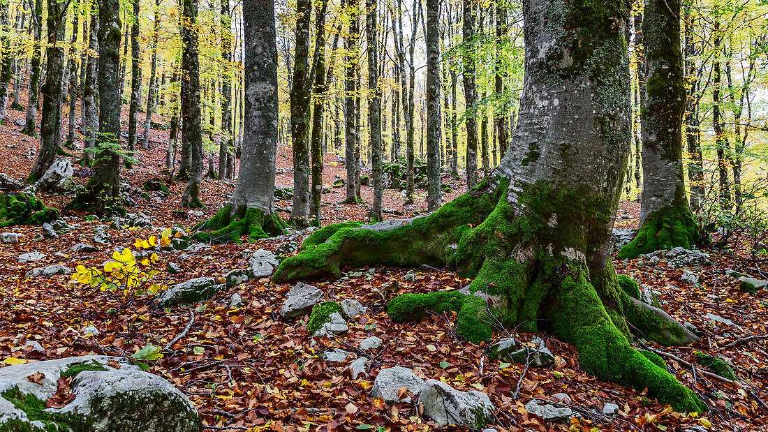 forca d'acero, nationalpark der abruzzen, lazio e molise, Abruzzen, italien