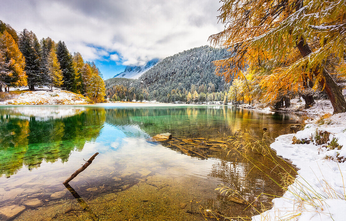 Palpuognasee im Herbst nach einem Schneefall. Palpuognasee, Kanton Graubünden, Schweiz.