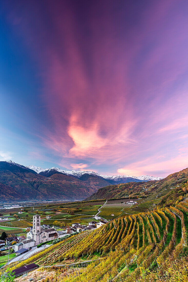 Church of Bianzone in the vineyards surrounded by a pink cloud at sunrise.