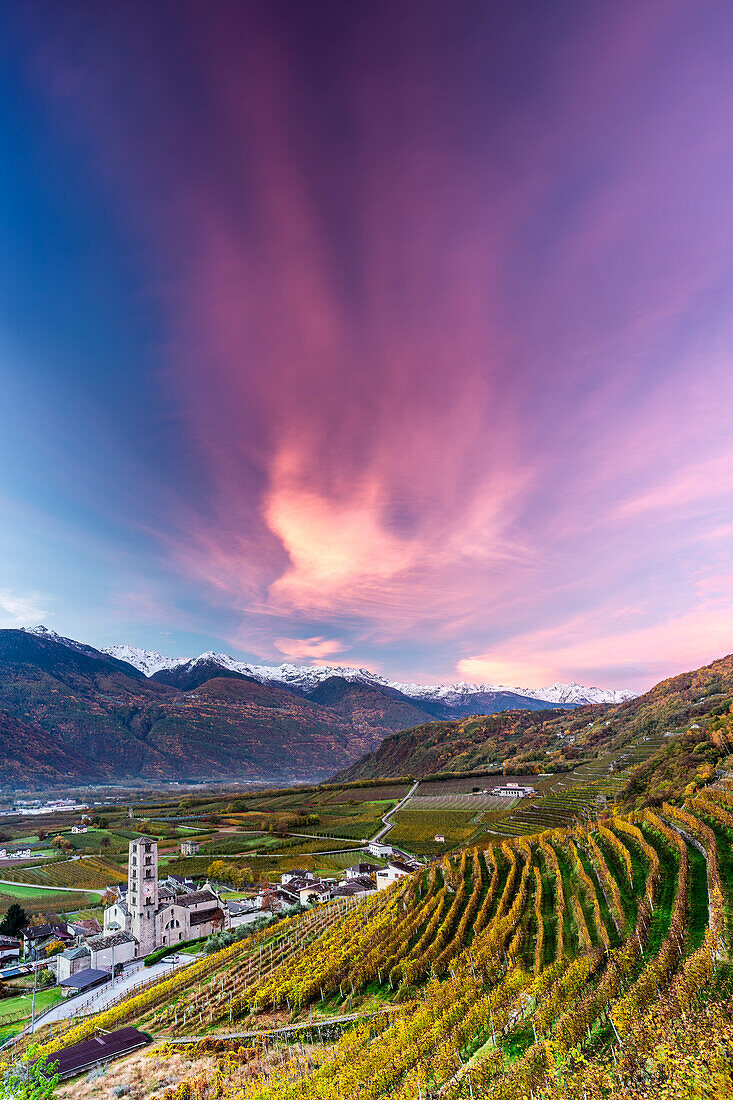 Kirche von Bianzone in den Weinbergen, umgeben von einer rosa Wolke bei Sonnenaufgang.