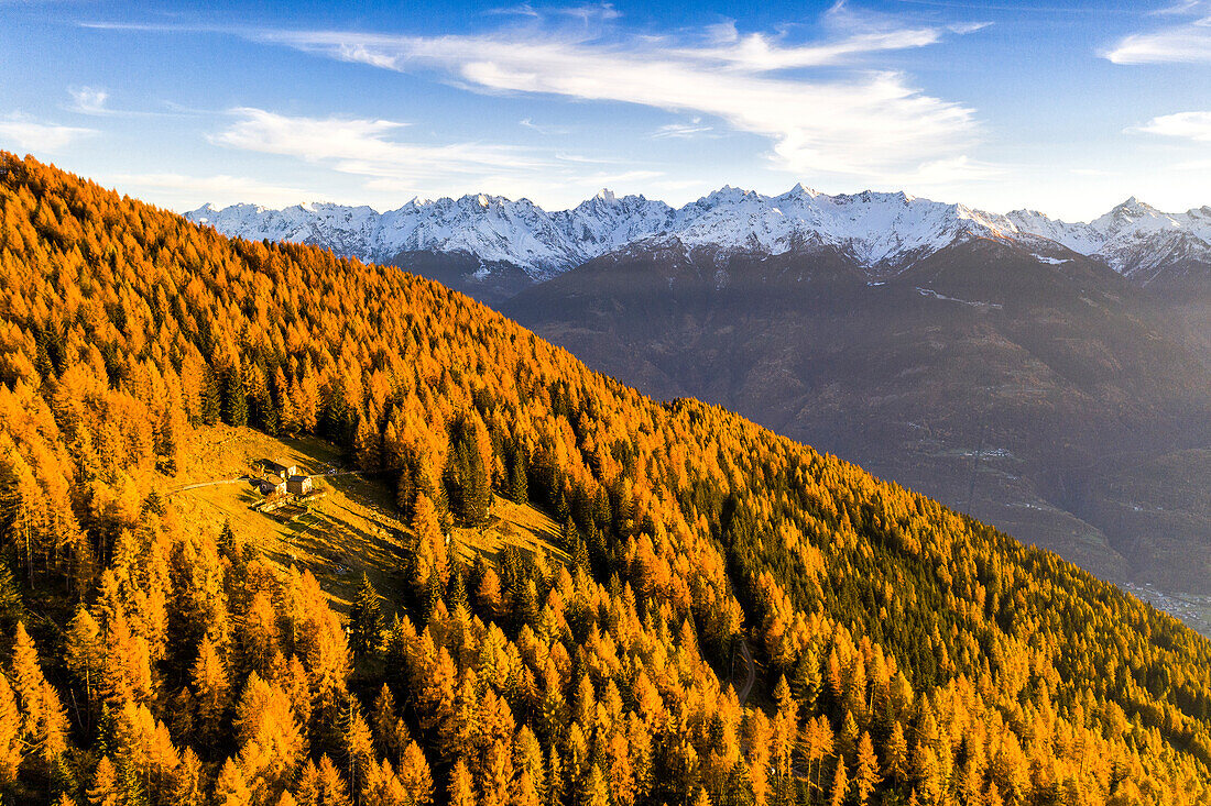 Group of huts in the forest illuminated by sun in autumn. Snowy mountains in the background. Alpe Mara, Valtellina, Lombardy, Italy, Europe.