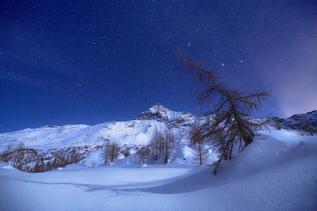 Vollmondnacht mit Blick auf den Pizzo Scalino im Winter. Valmalenco, Valtellina, Lombardei, Italien, Europa