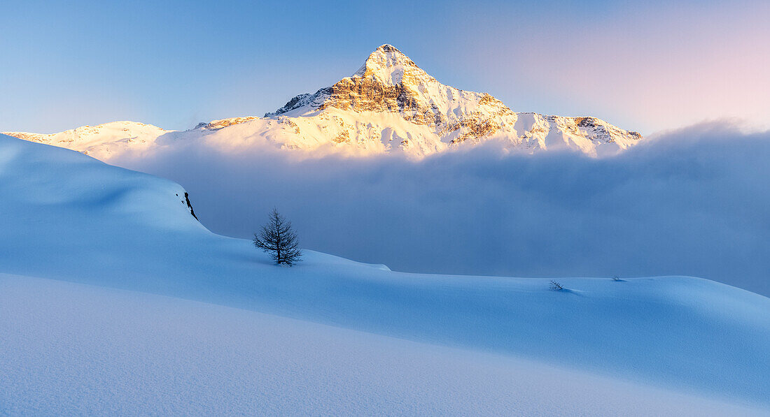 Colors of sunset is reflected on the fresh snow with Pizzo Scalino illuminated by last sun. Valmalenco, Valtellina, Lombardy, Italy, Europe