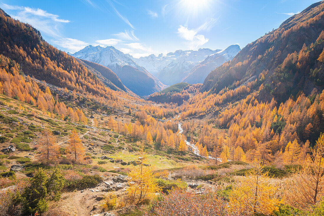 Gran Paradiso and Valnontey seen from Grauson valley, Cogne valley, Valle d'Aosta, Italian Alps, Italy