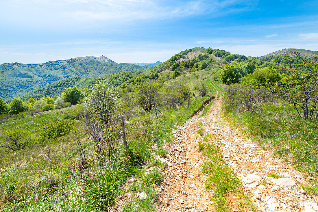 The path on the ridge for Mount Chiappo, Staffora valley, Oltrepo Pavese, Province of Pavia, Apennines, Lombardy, Italy