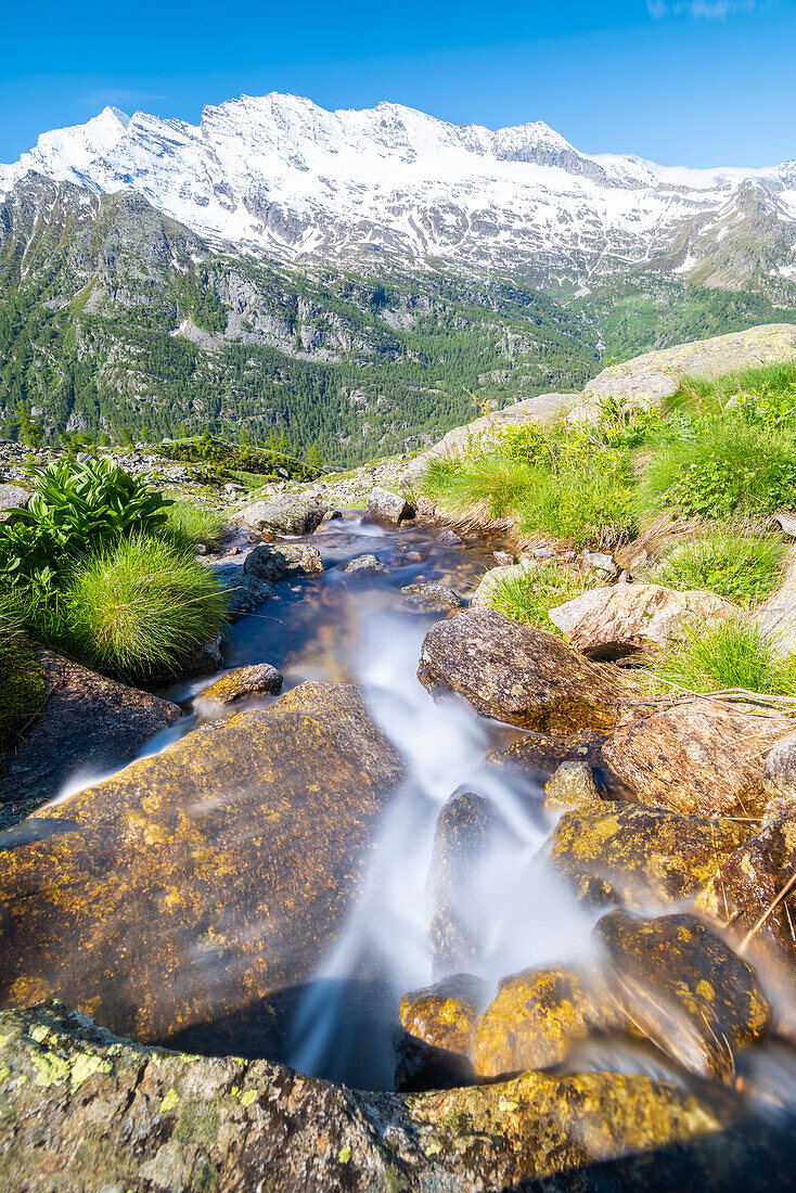 Little river, Valle dell Orco, Gran Paradiso National Park, Province of Turin, italian alps, Piedmont Italy