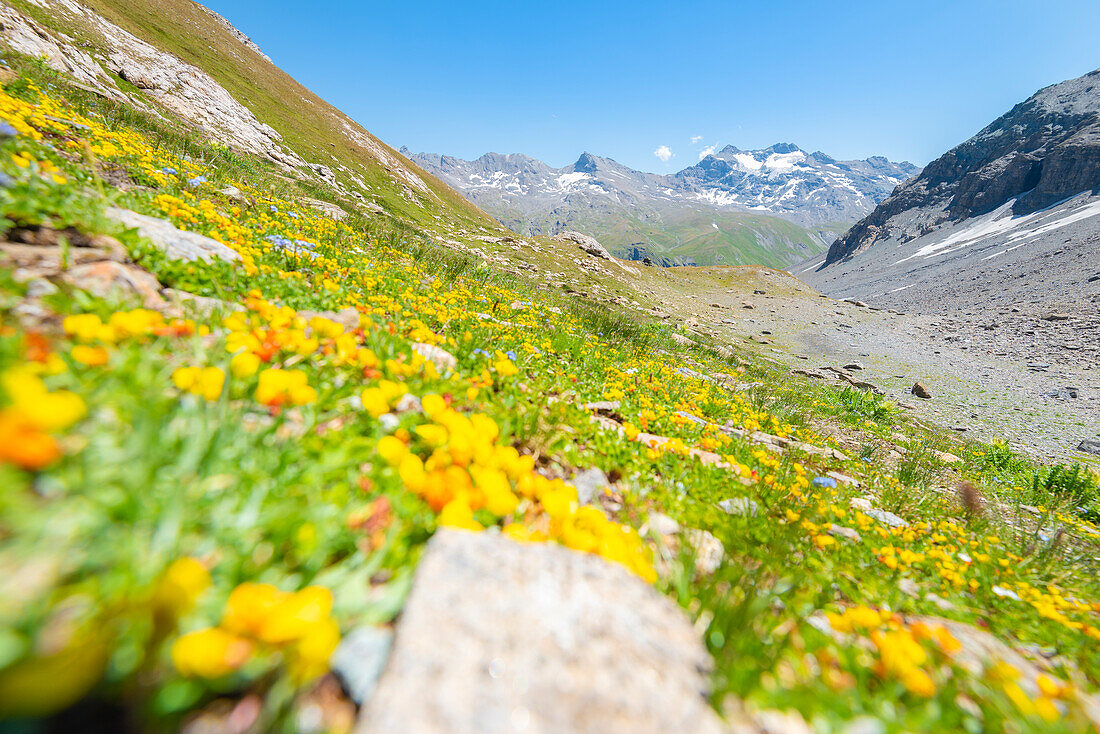 Valgrisenche, Vallee d Aoste, Italienische Alpen, Italien