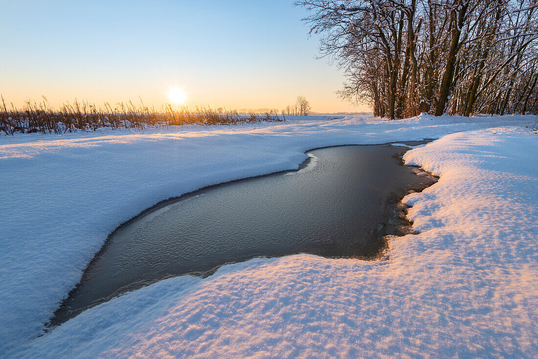 Frozen puddle, Dorno, Lomellina, province of Pavia, Lombardy, Italy