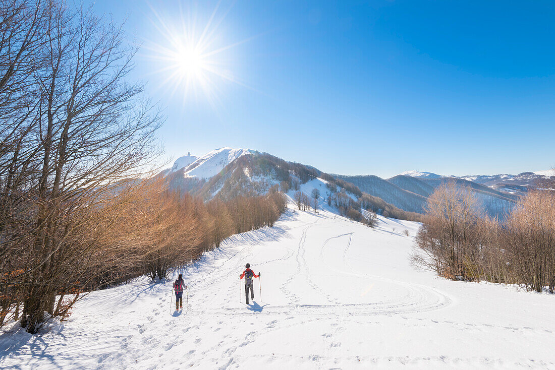 Hikers on the path for Monte Lesima (Valle Staffora, Oltrepo Pavese, Apennines, Province of Pavia, Lombardy, Italy)