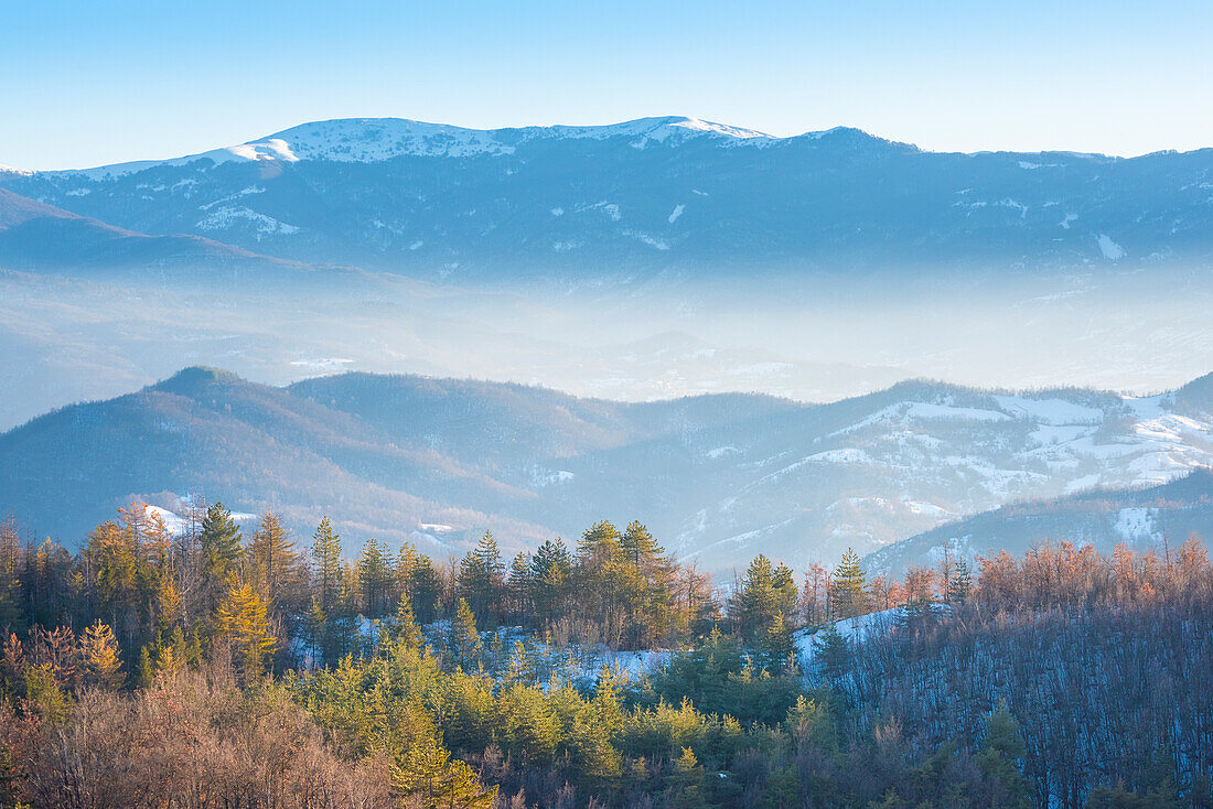 The ridge of Monte Chiappo seen from Val di Nizza (Oltrepo Pavese, Val di Nizza, Province of Pavia, Apennines, Lombardy, Italy)