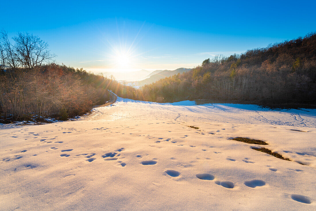 Sunset in Val di Nizza (Oltrepo Pavese, Val di Nizza, Province of Pavia, Apennines, Lombardy, Italy)