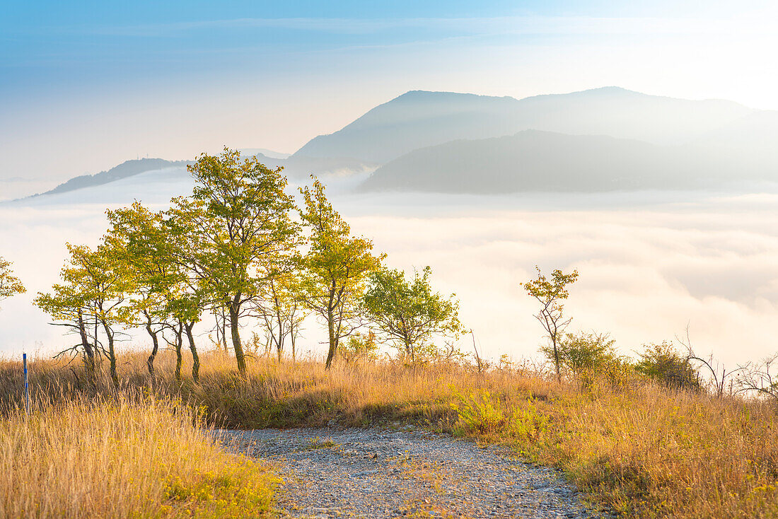 Valle del Reno, bolognese Apennine, province of Bologna, Emilia Romagna, Italy