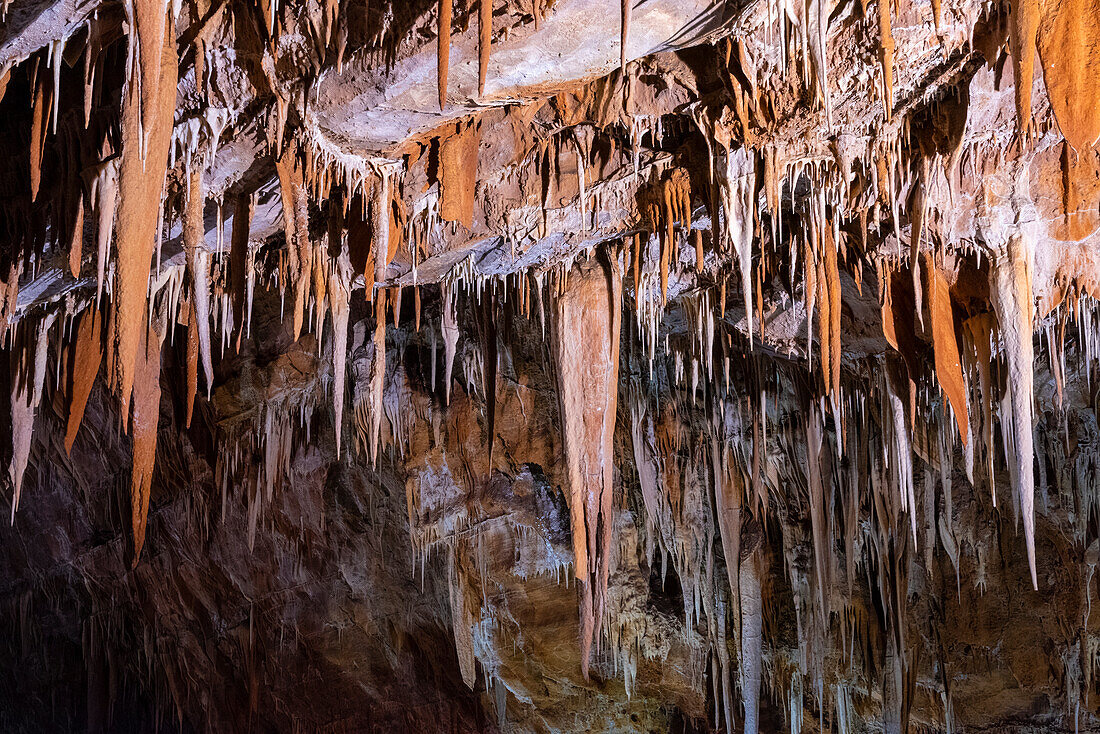 Die Grotten von Torri di Slivia, Provinz Triest, Friaul-Julisch-Venetien, Italien