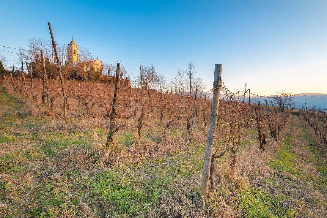 Weinberge um die Kirche von San Lorenzo Martire, Valle del Torrente Ghiaia Coppa, Oltrepo Pavese, Provinz Pavia, Lombardei, Italien