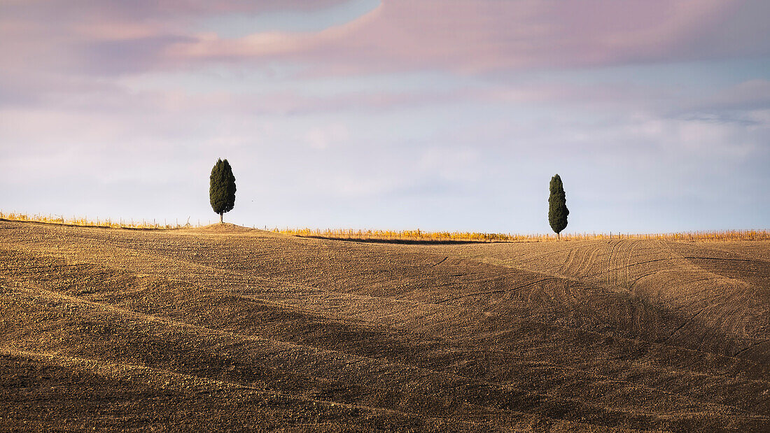 Orcia-Tal, Provinz Siena, Region Toskana, Italien, Europa