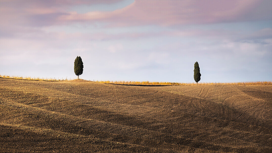 Orcia Valley, Siena province, Tuscany district, Italy, Europe