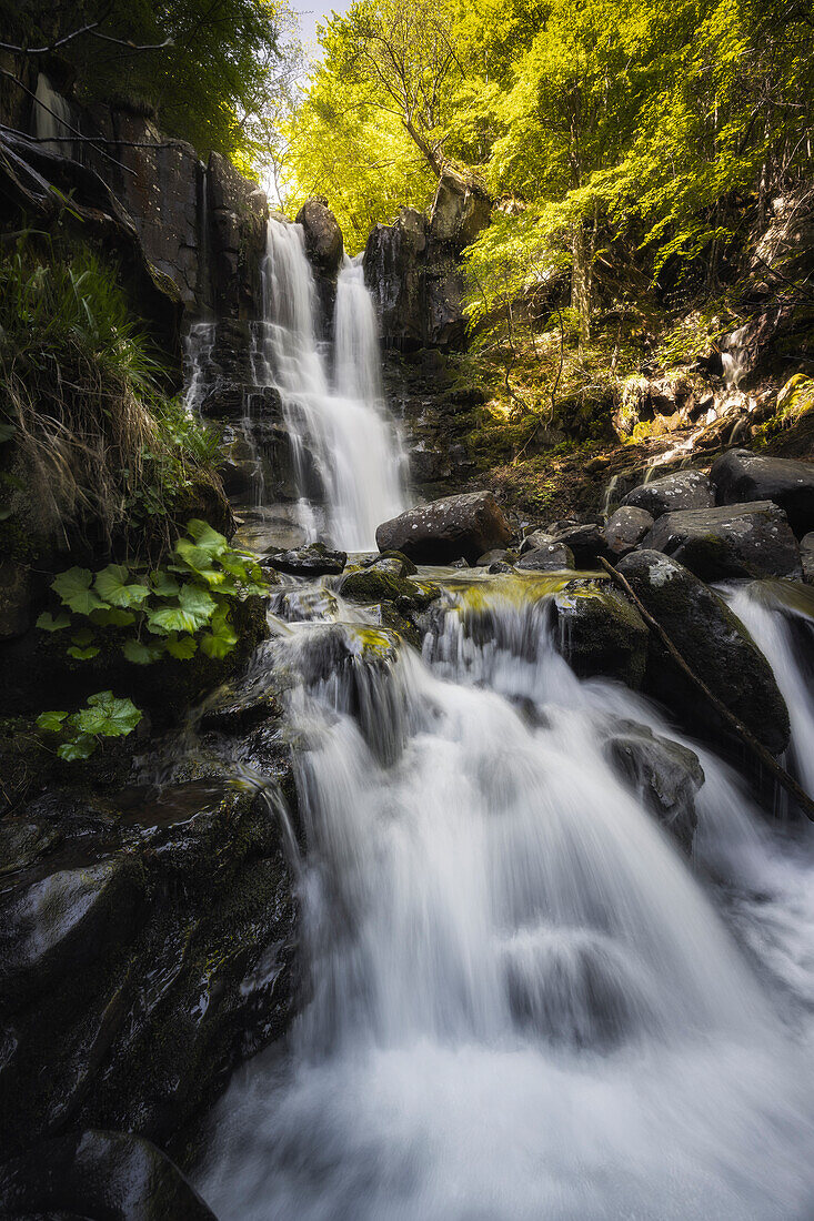 Dardagna waterfalls, Corno Alle Scale Regional Park, Lizzano in Belvedere, Bologna province, Emilia Romagna, Italy, Europe