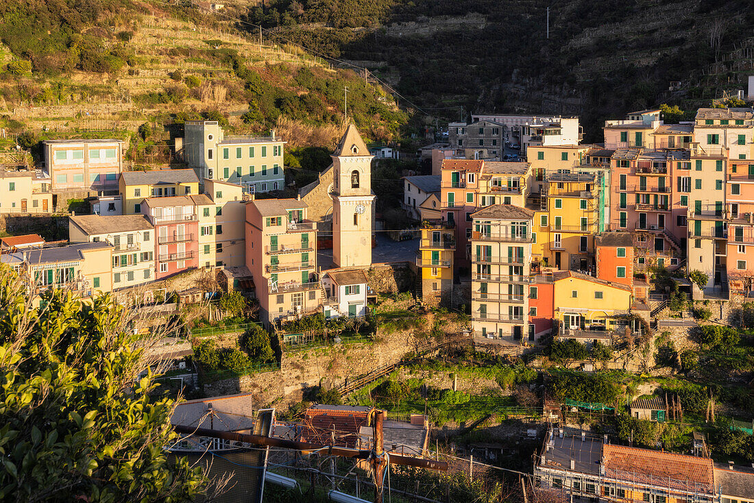 Dorf Manarola, Nationalpark Cinque Terre, Gemeinde Riomaggiore, Provinz La Spezia, Region Ligurien, Italien, Europa