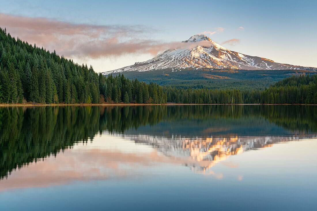 Mt Hood spiegelt sich im Trillium Lake in der Morgendämmerung. Government Camp, Landkreis Clackamas, Oregon, USA.