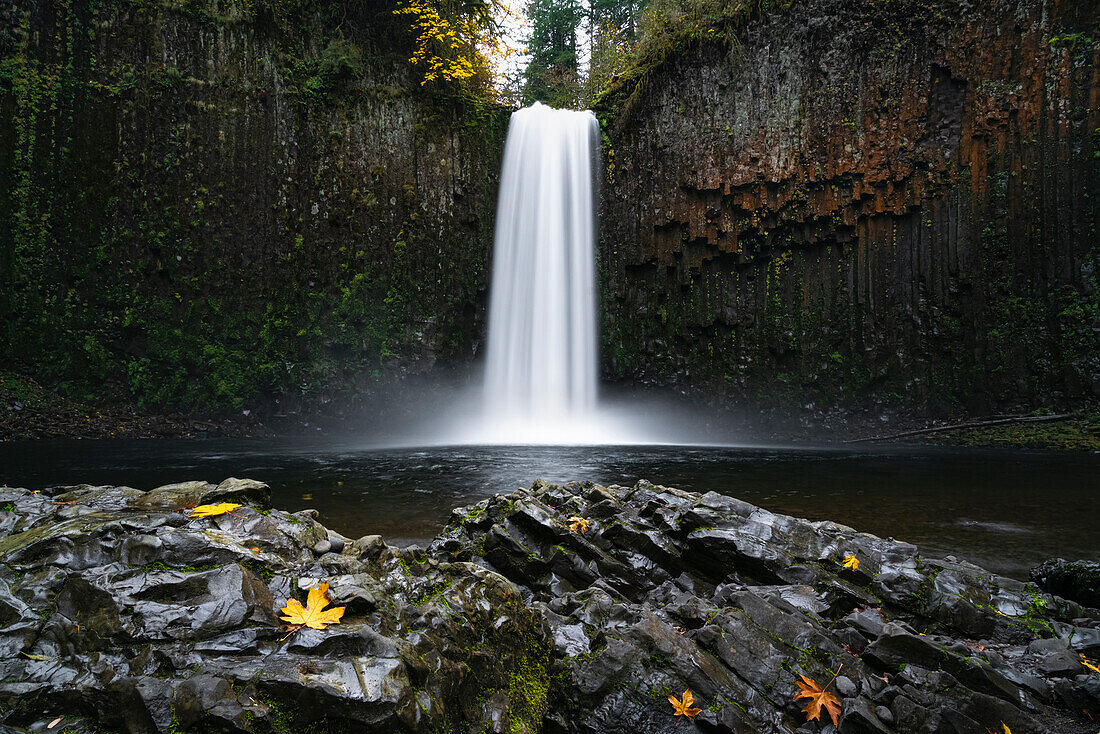 Abiqua Falls im Herbst. Scotts Mills, Landkreis Marion, Oregon, USA.